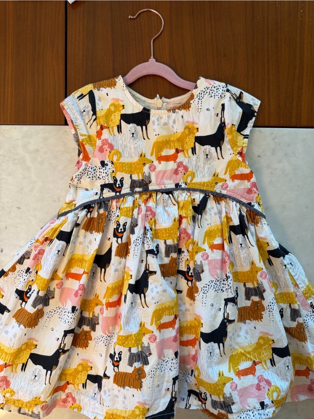 Pink Chicken Fatima Dog Park Dress 2T